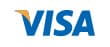 program fee visa payment