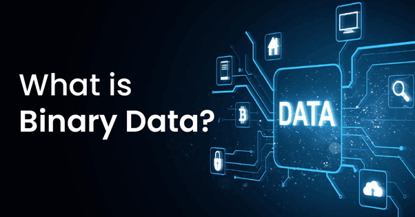 What is Binary Data?